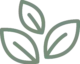 logo-icon-color